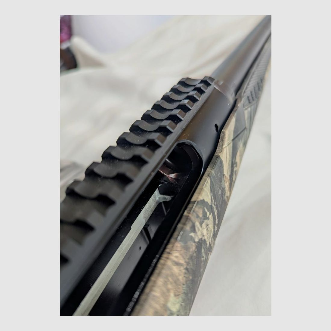 Savage Impulse Predator