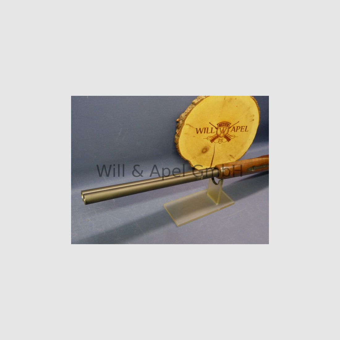 Akkar Churchill Lady Black