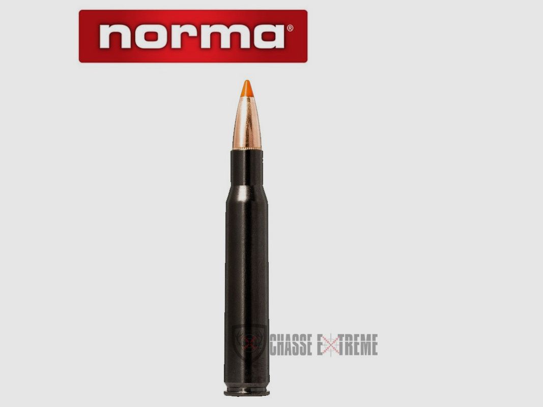 20 Cartridges NORMA Ctg cal 30-06 Sprg 170gr Tipstrike Silencer