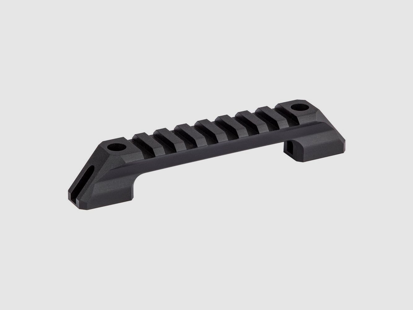 Walther Picatinny Schiene