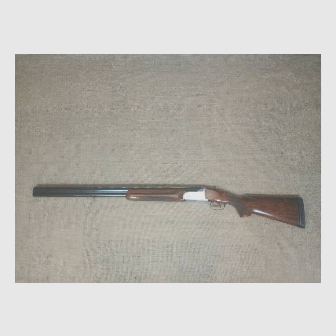 Rottweil Model 720