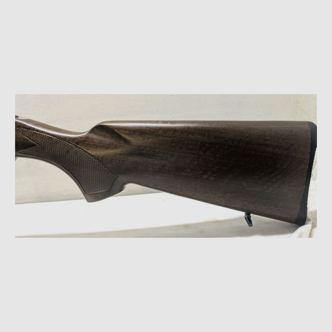 Kettner Campione