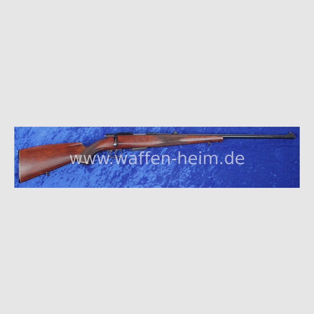 Anschütz