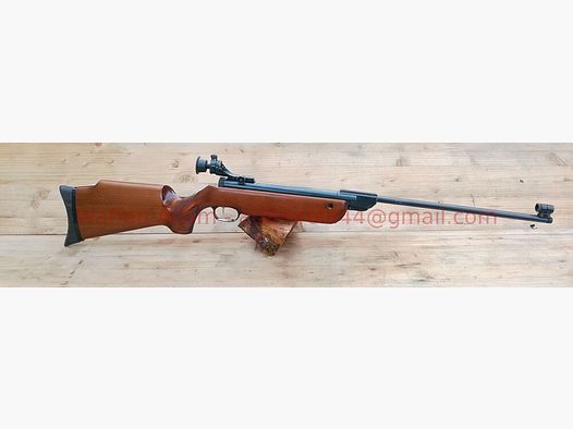 Walther LG 55