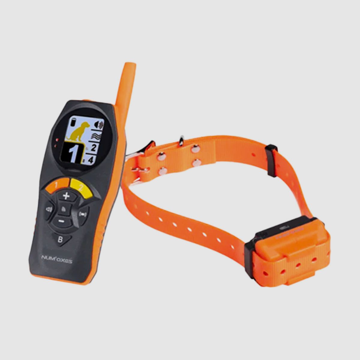 NUM’AXES – R-800 1 Tx + 1 Collare