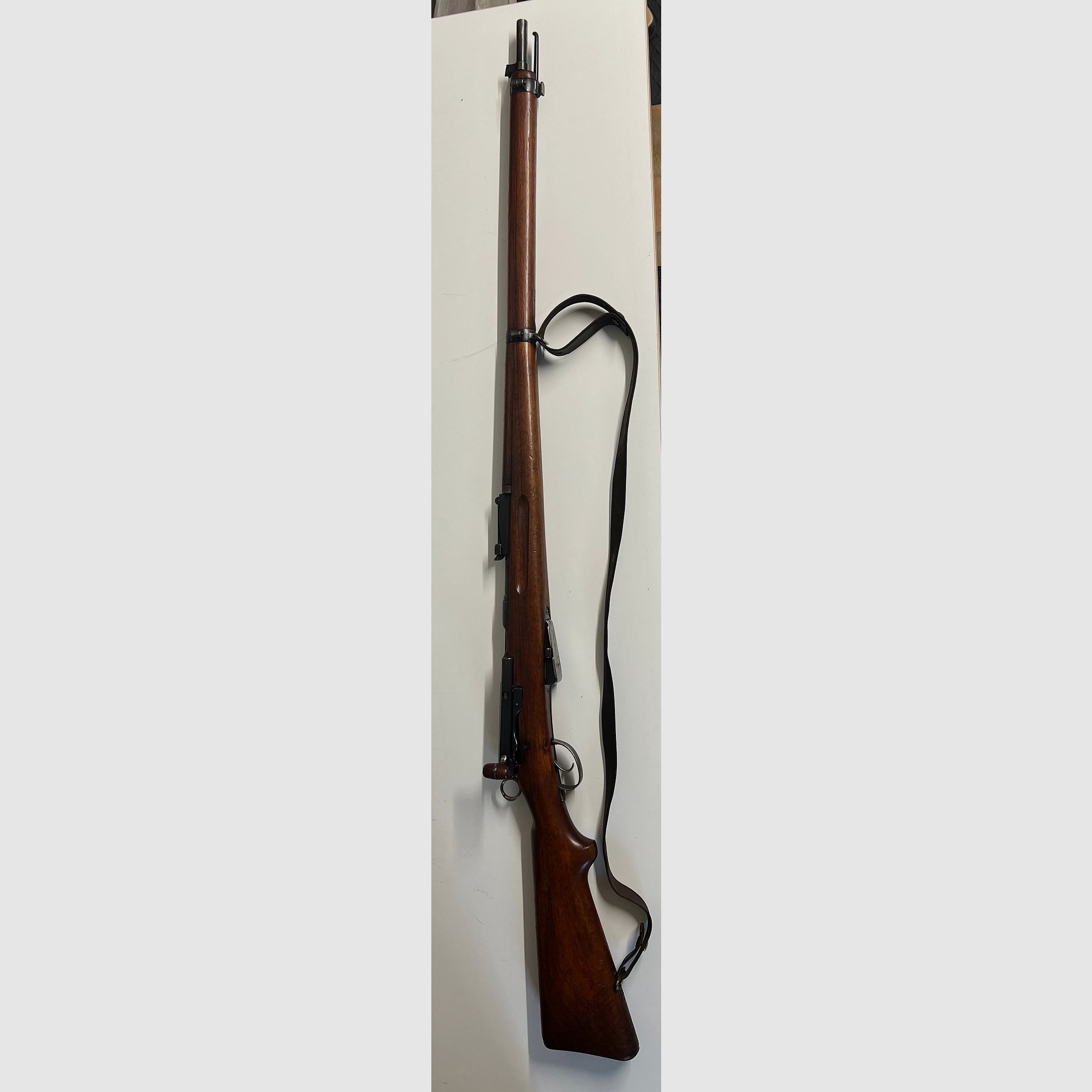 SIG - G96/11