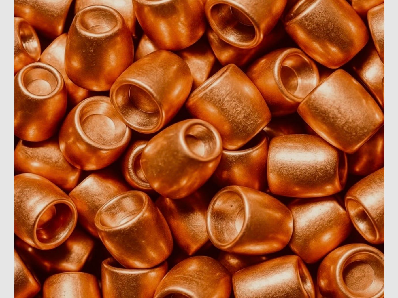 AEA Megalodon Challenger Geschosse 15 Gramm ! Slugs Kal. 495 / .50