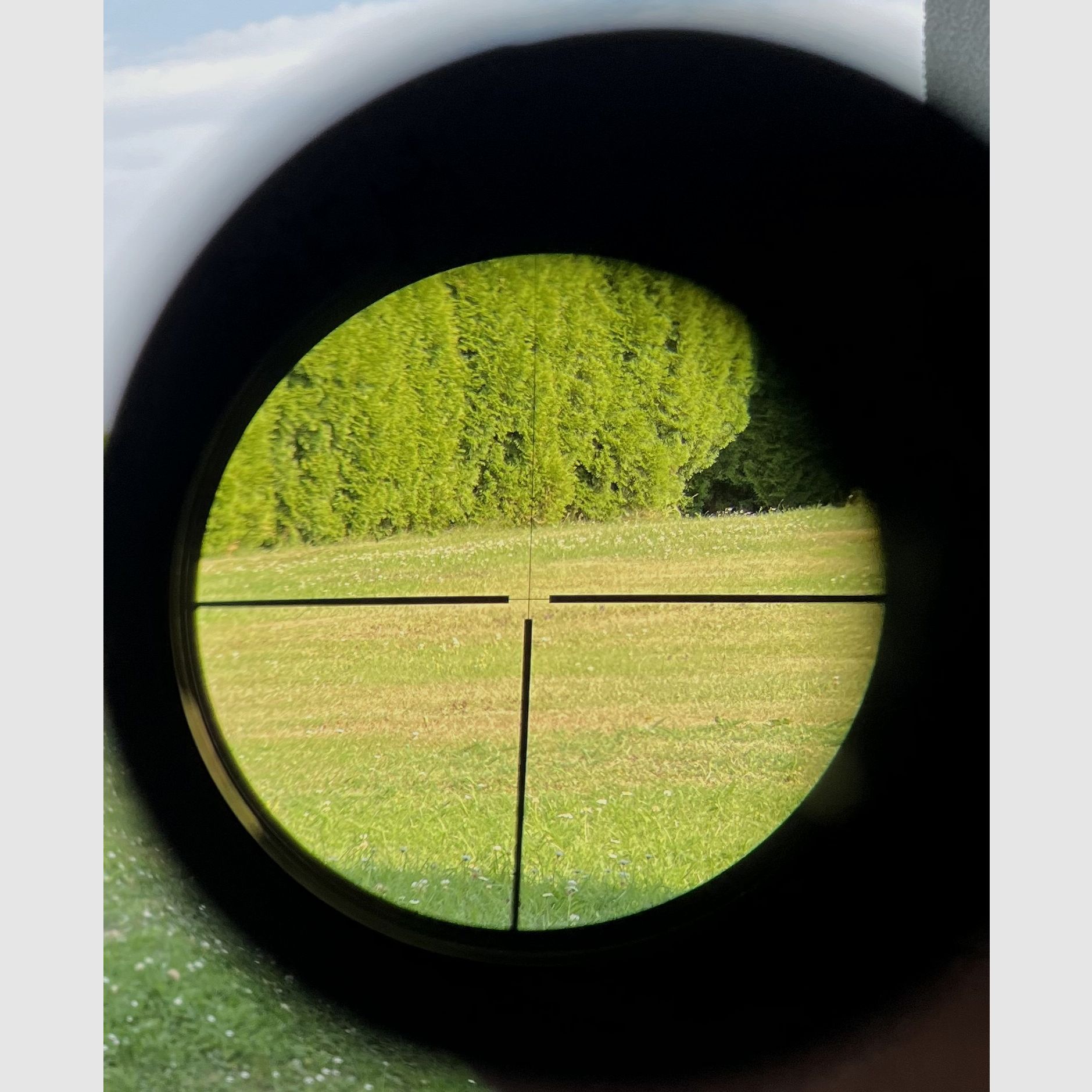 ZEISS Diavari VM 3-12x56 T z podświetlanym krzyżem na montażu siodłowym Blaser