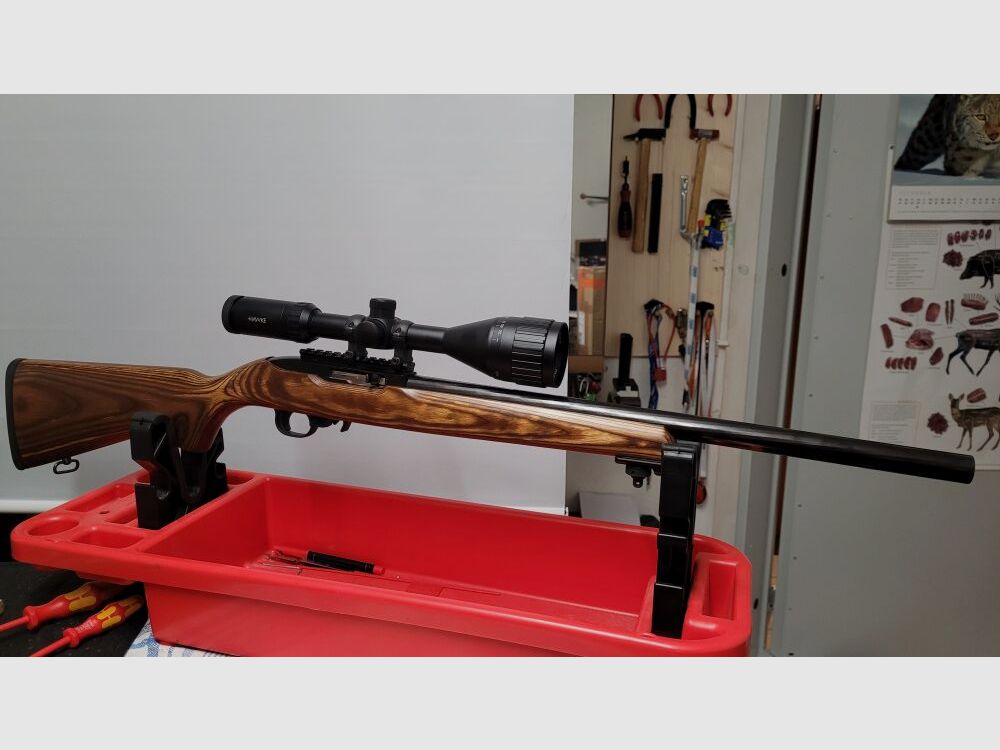 Ruger 10/22