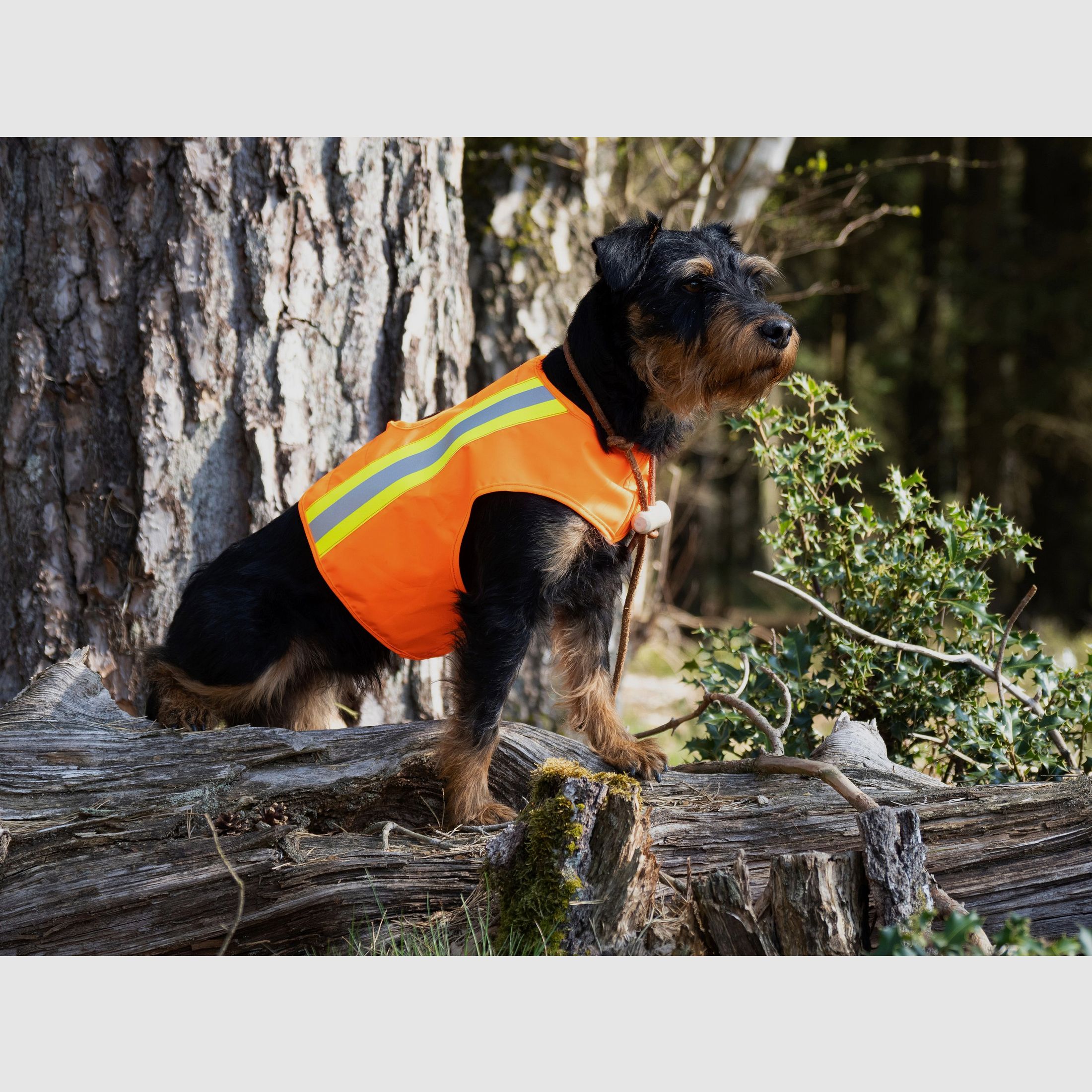Aduro Chaleco de Advertencia para Perros