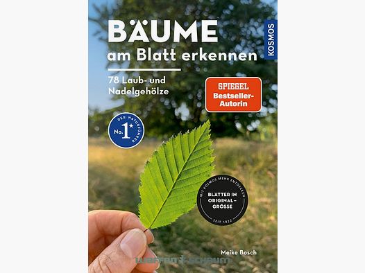 Cosmos Recognizing Trees by Leaf Meike Bosch