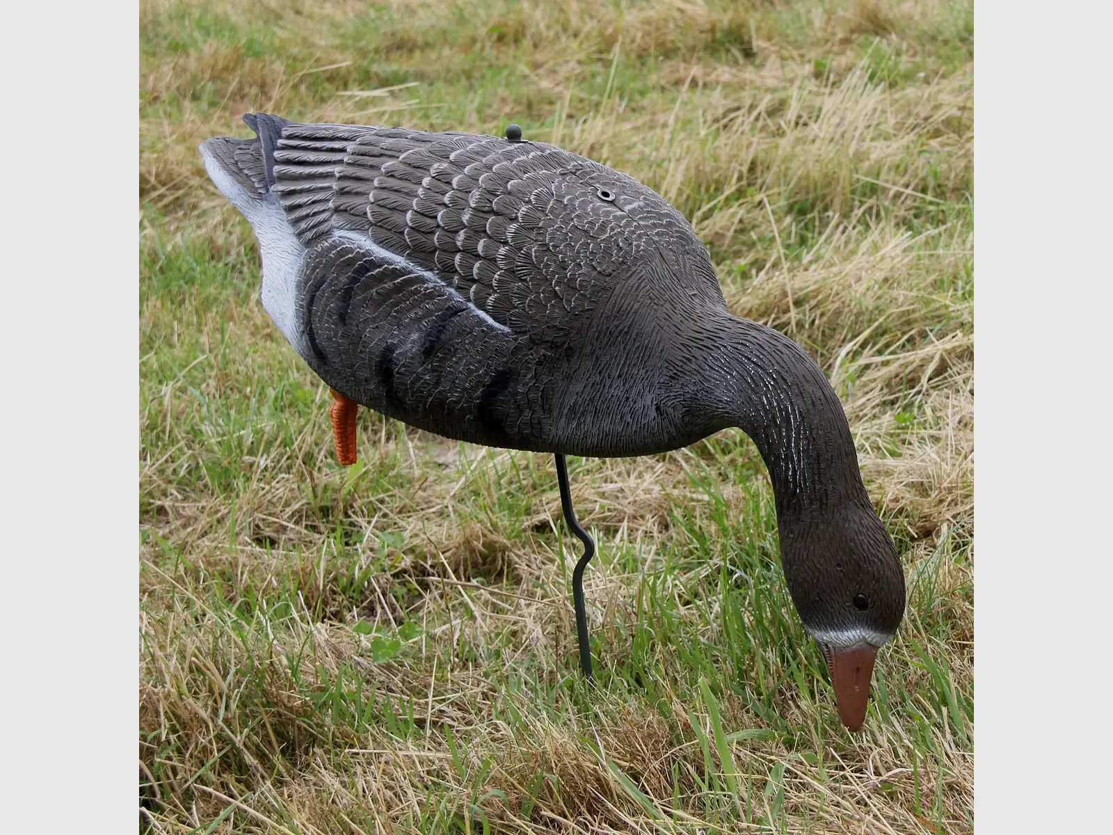 AKAH Decoy Greylag Goose Life Size – with Ground Spike, image 2 of 2