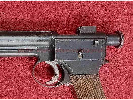 Roth-Steyr M 1907