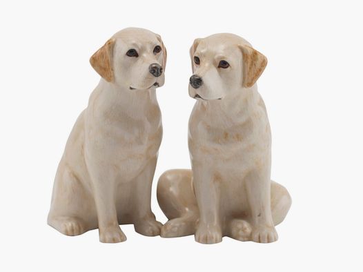 Lovergreen porselein motief labrador goud zout- en peperstel