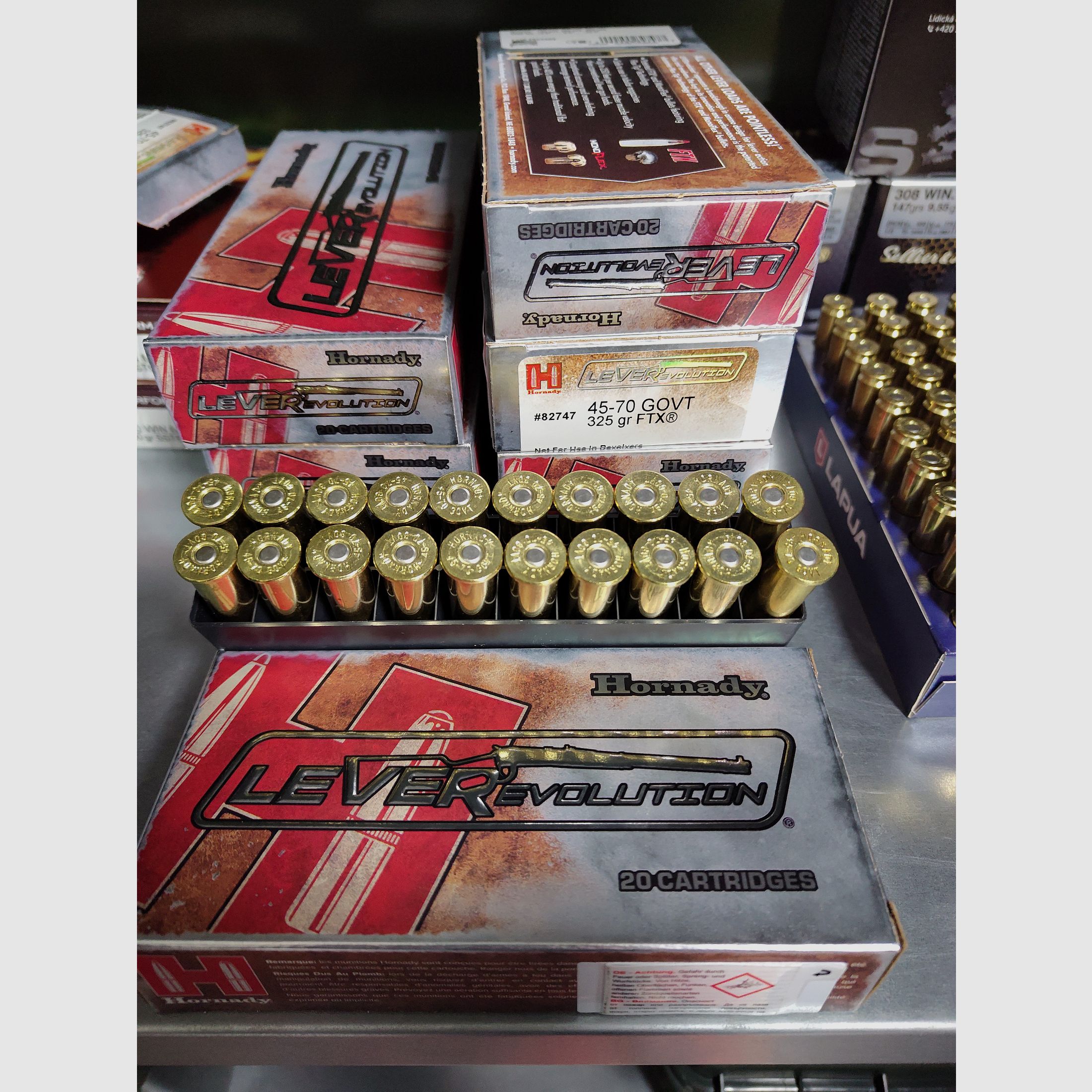 .45-70 Government Hornady LeverRevolution