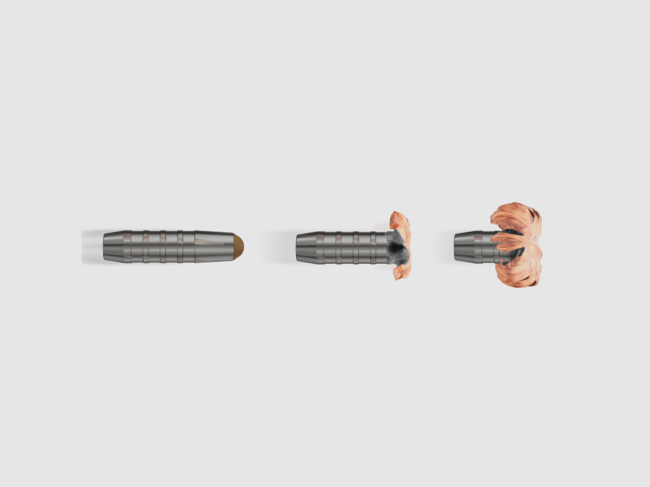 Munition RWS .308 Win Driven Hunt 165 gr, Bild 9 von 12