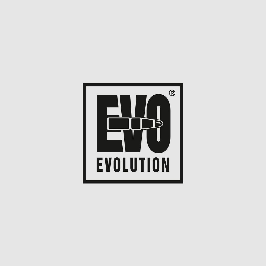 RWS 9,3x74 R EVOLUTION 18,8g/291gr, Bild 3 von 3