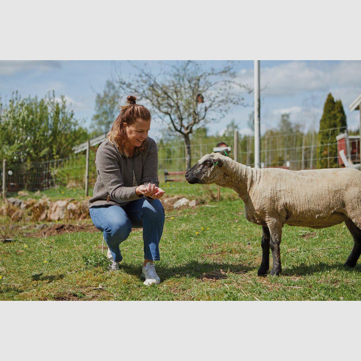 IVANHOE NLS TWIG Full Zip Noce