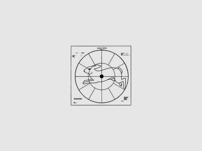 Boîte de cartouches 50 pcs. .270 WSM, .300 WSM, .308 Win, image 4 sur 12