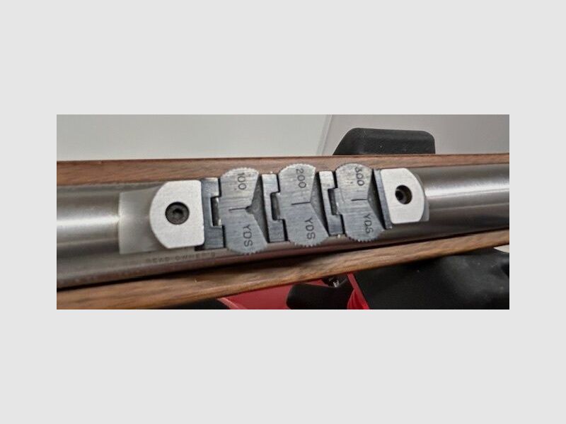 Savage Savage Safari Express