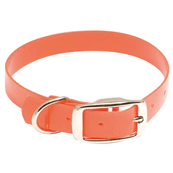 Halsband für Hunde Country Hiflex Orange Fluo Breite 25 mm, Bild 1 von 2