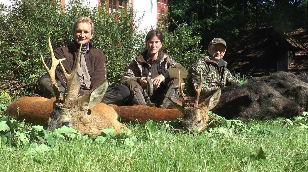 Sauen hautnah und starken Bock in Pommern erlegt! Piglets at 30 feet & trophy roebuck downed