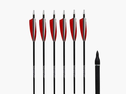 Gold Tip 6er Pack Warrior Carbonpfeil mit Naturfeder, Bestseller! 30'' 600