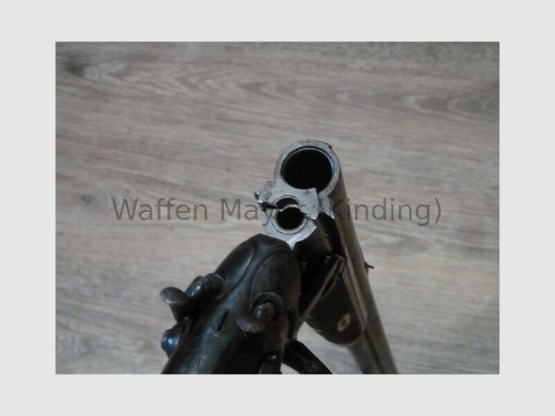 escopeta de perro desconocida