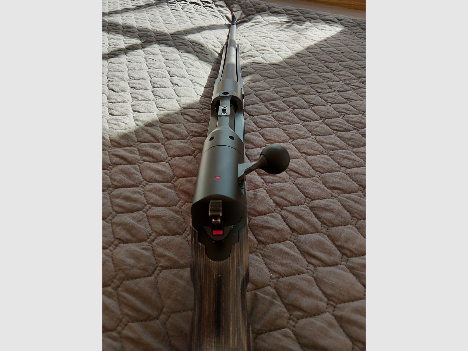 Strasser RS Solo Tahr