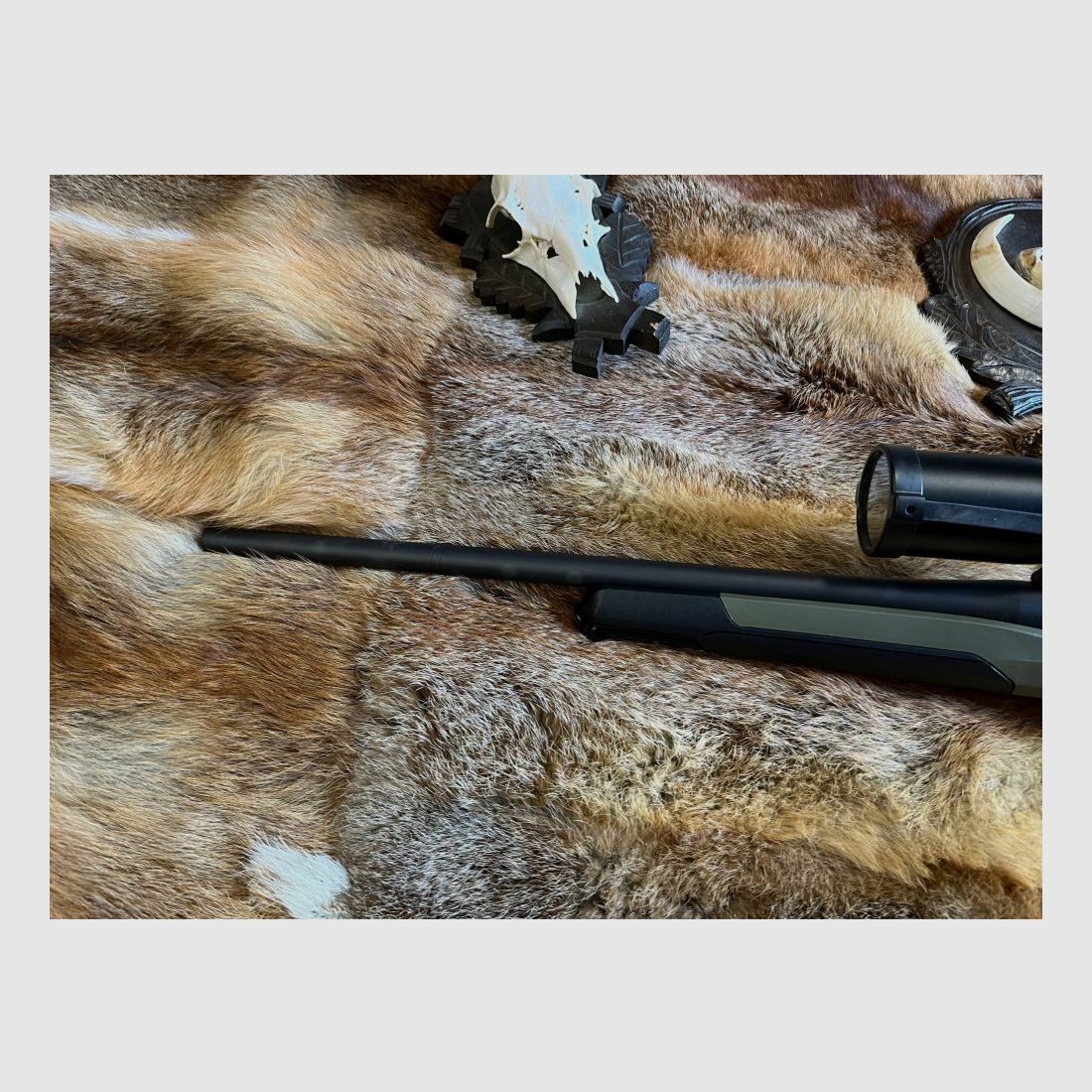 Steyr MS Wild