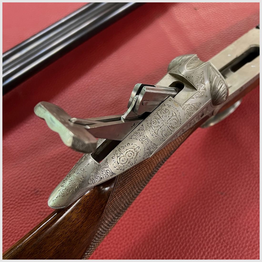 Darne The V Series V19 Grade, image 18 sur 20
