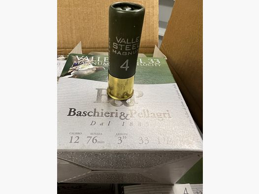 Baschieri & Pellagri Valle Steel *Bleifrei*  HV 12/76 33 g, 3,1 mm