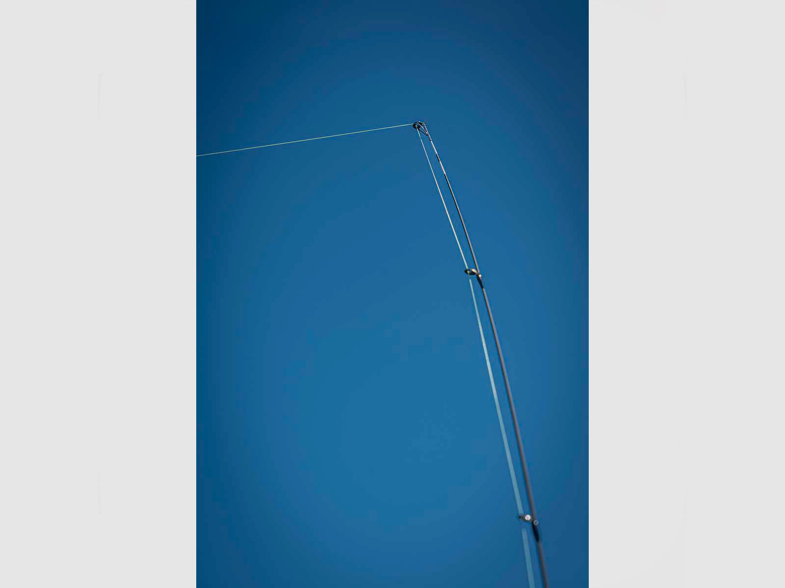 FOX RAGE – WARRIOR DROPSHOT 4-17g | 220cm | 2pcs, image 11 of 13