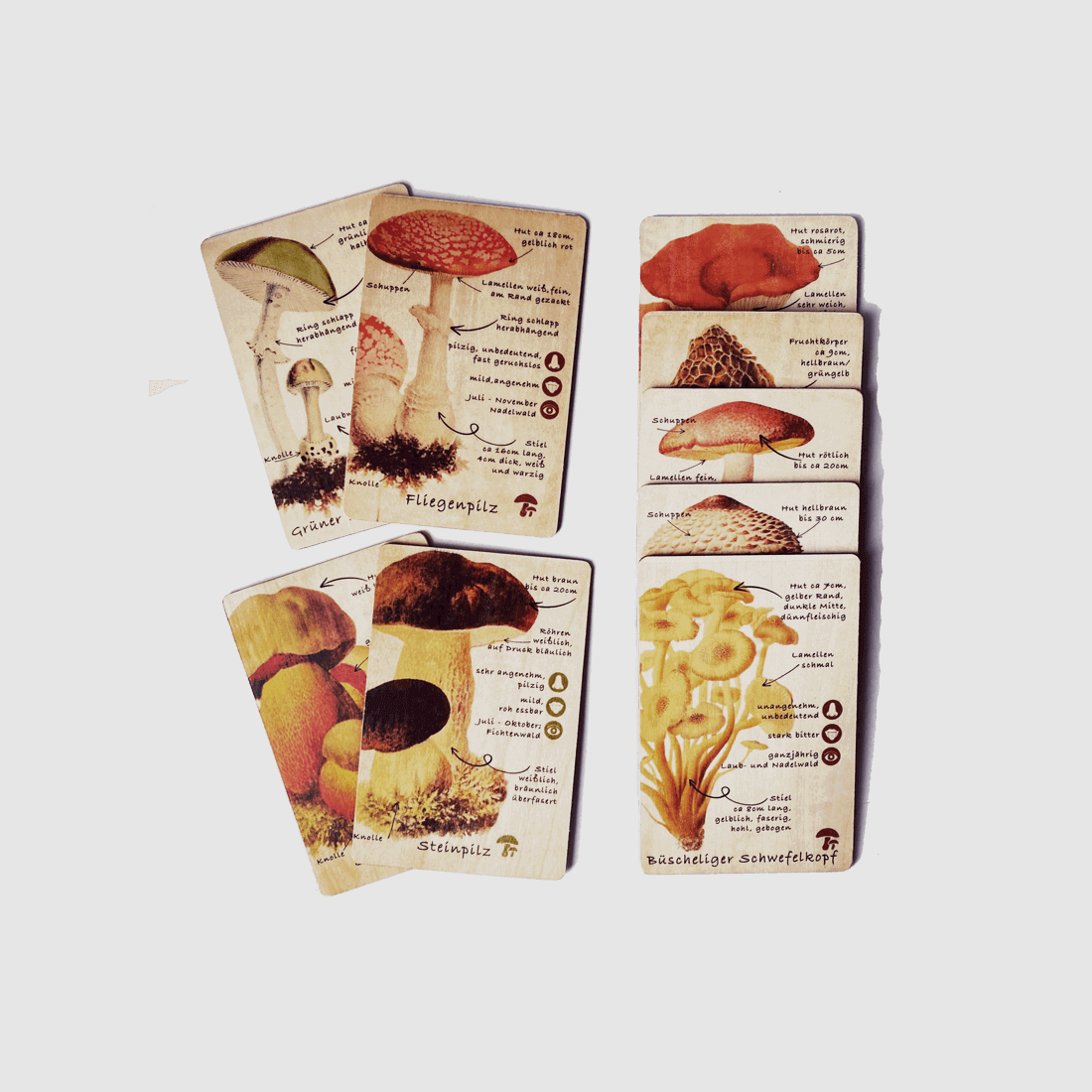 Holzkarten Lernkarten Pilze Set (9 Karten)