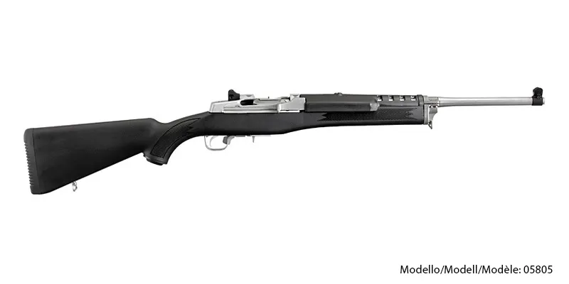 Ruger Mini-14 Ranch .223 Matte Stainless