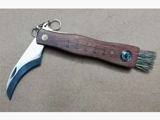 Mushroom picking knife with brush