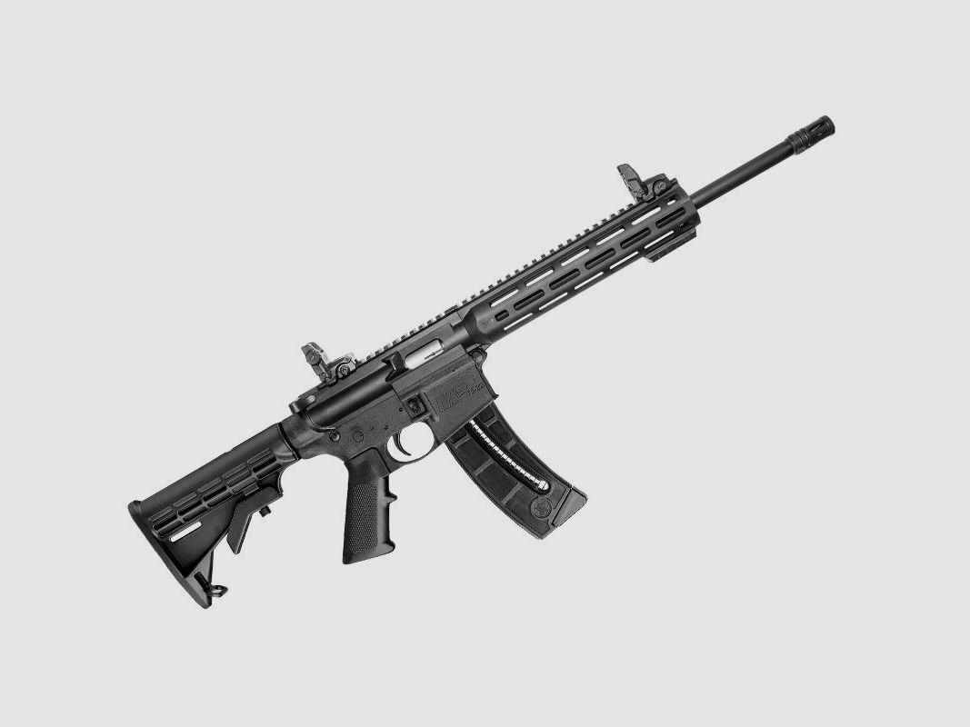 Smith & Wesson M&P15-22 Sport, image 1 sur 3