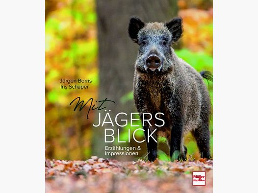 Mit Jägers Blick: Erzählungen und Impressionen