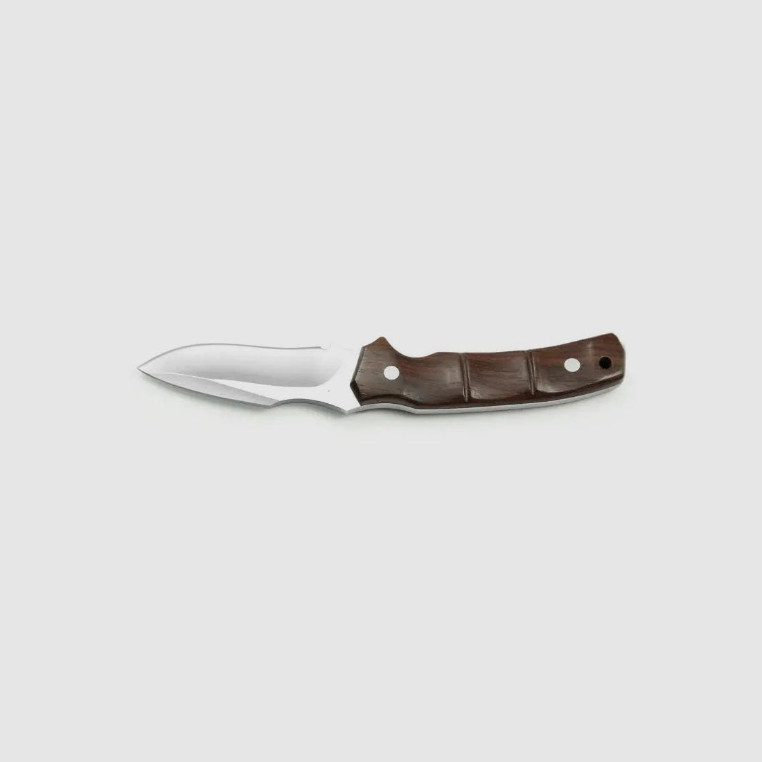 PUMA IP contorno cocobolo (modèle discontinué)