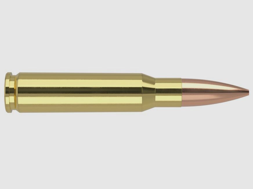 Nosler Matchgrade 168gr HPBT