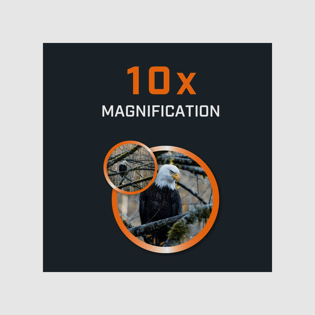 Bushnell H2O 10×42 Waterproof Binoculars (150142R)