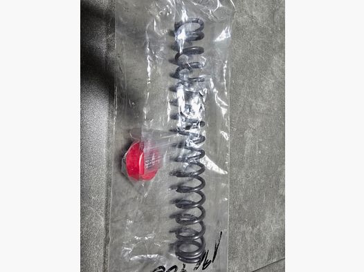 HÄNEL 311 EXPORT SPRING AND PISTON SEAL !!