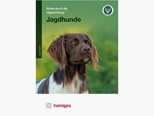 Heintges Safe through the hunter test – Jagdhunde