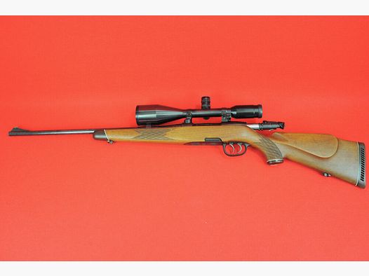 Steyr Mannlicher Mod. M