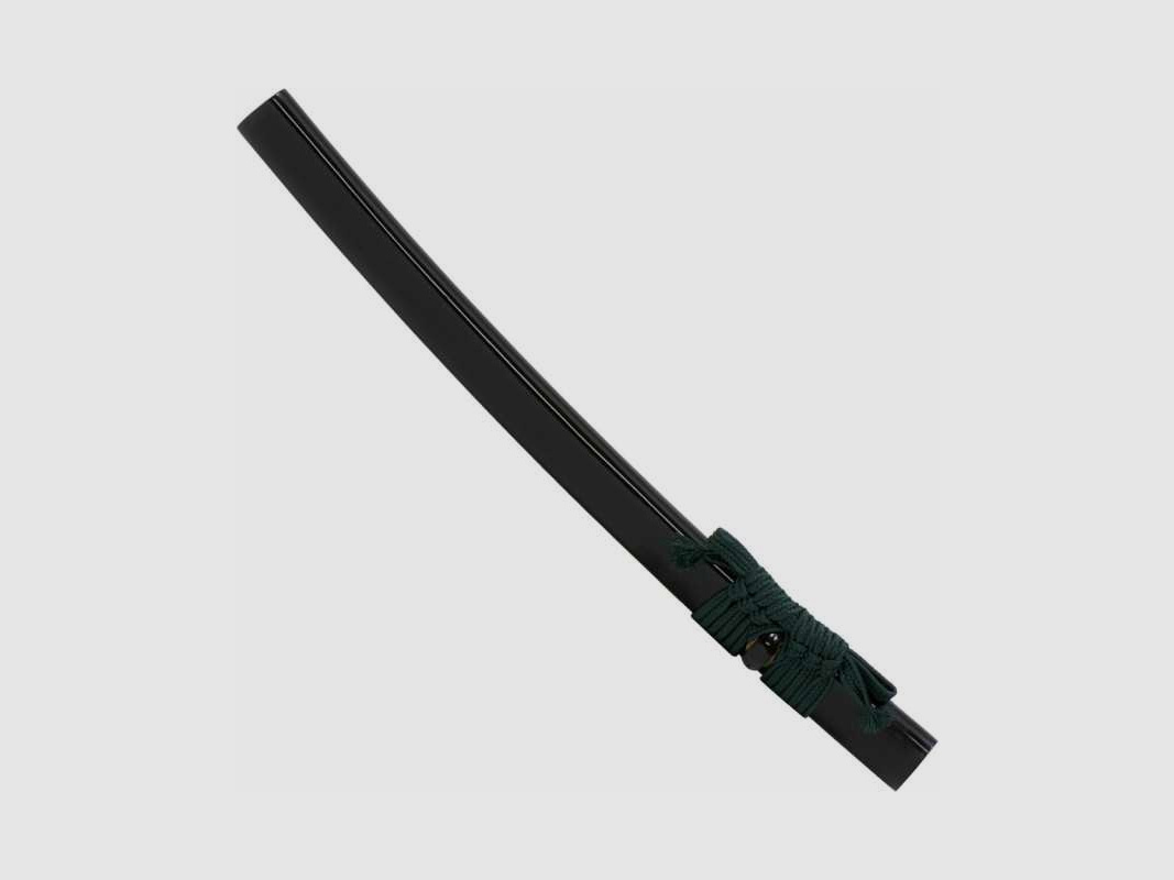 Handgeschmiedetes John Lee Ten Kei Wakizashi Schwert