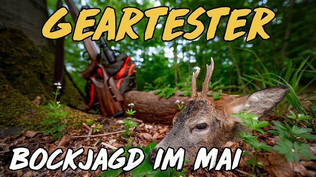 Geartester - Bockjagd im Mai