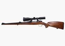 Steyr Mannlicher 30-06