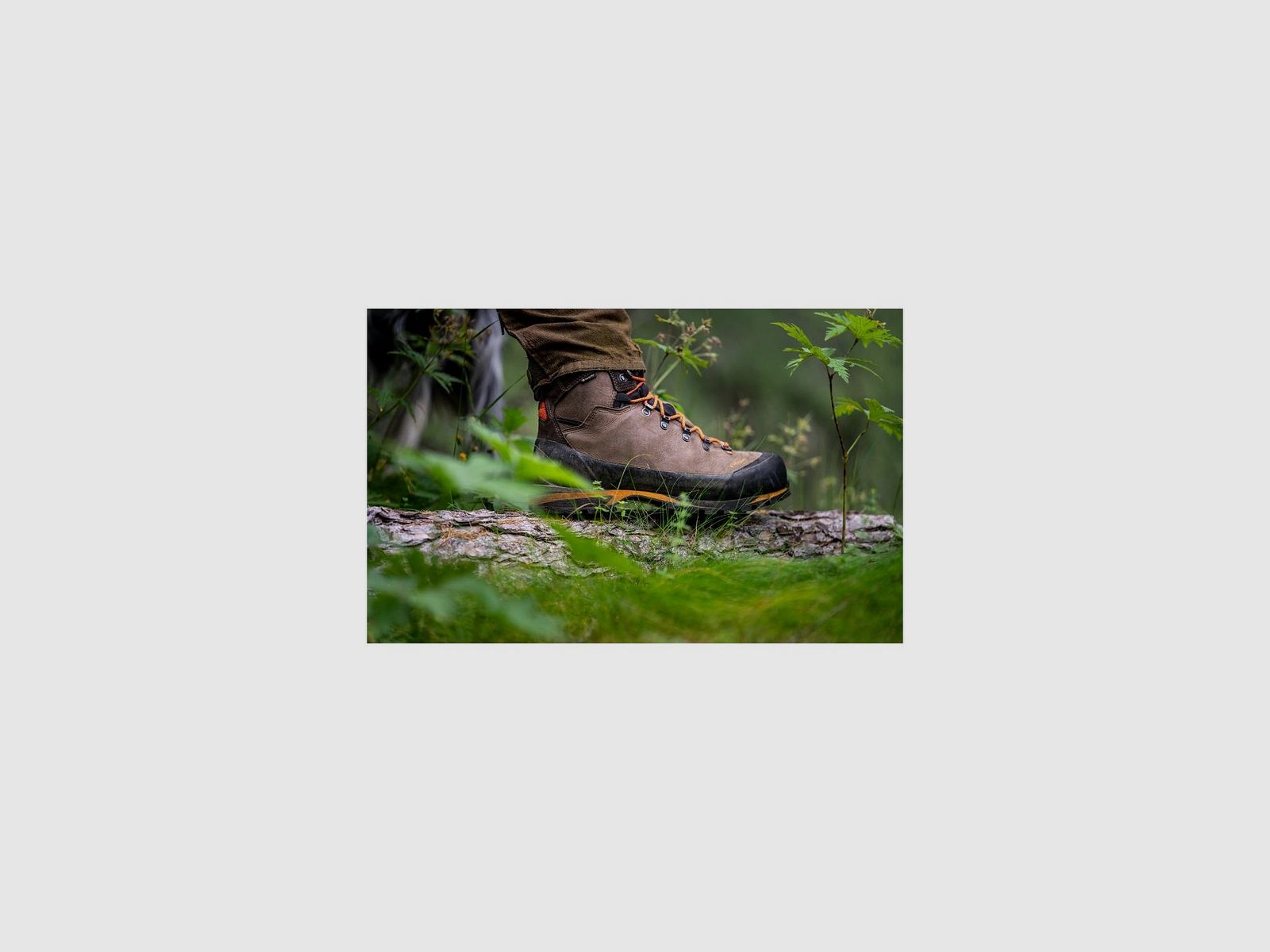 Crispi Sport Wasatch GTX ®, Bild 6 von 8