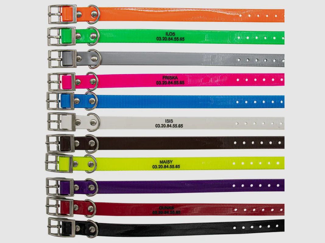 Gravurhalsband BIOGOLD für kleine Hunde und Welpen 45 cm, Bild 2 von 4