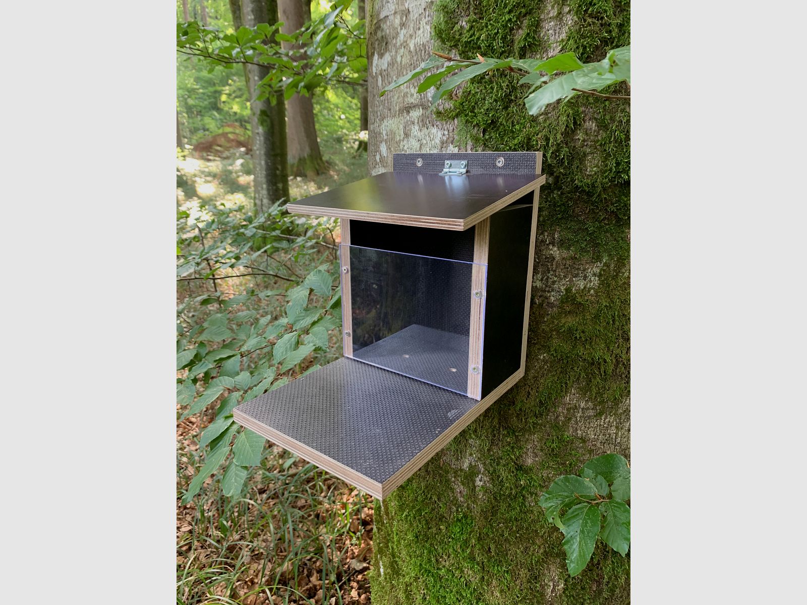 Eichhörnchenfutterautomat